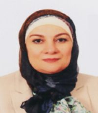 Mrs. Mona El-DEsouky